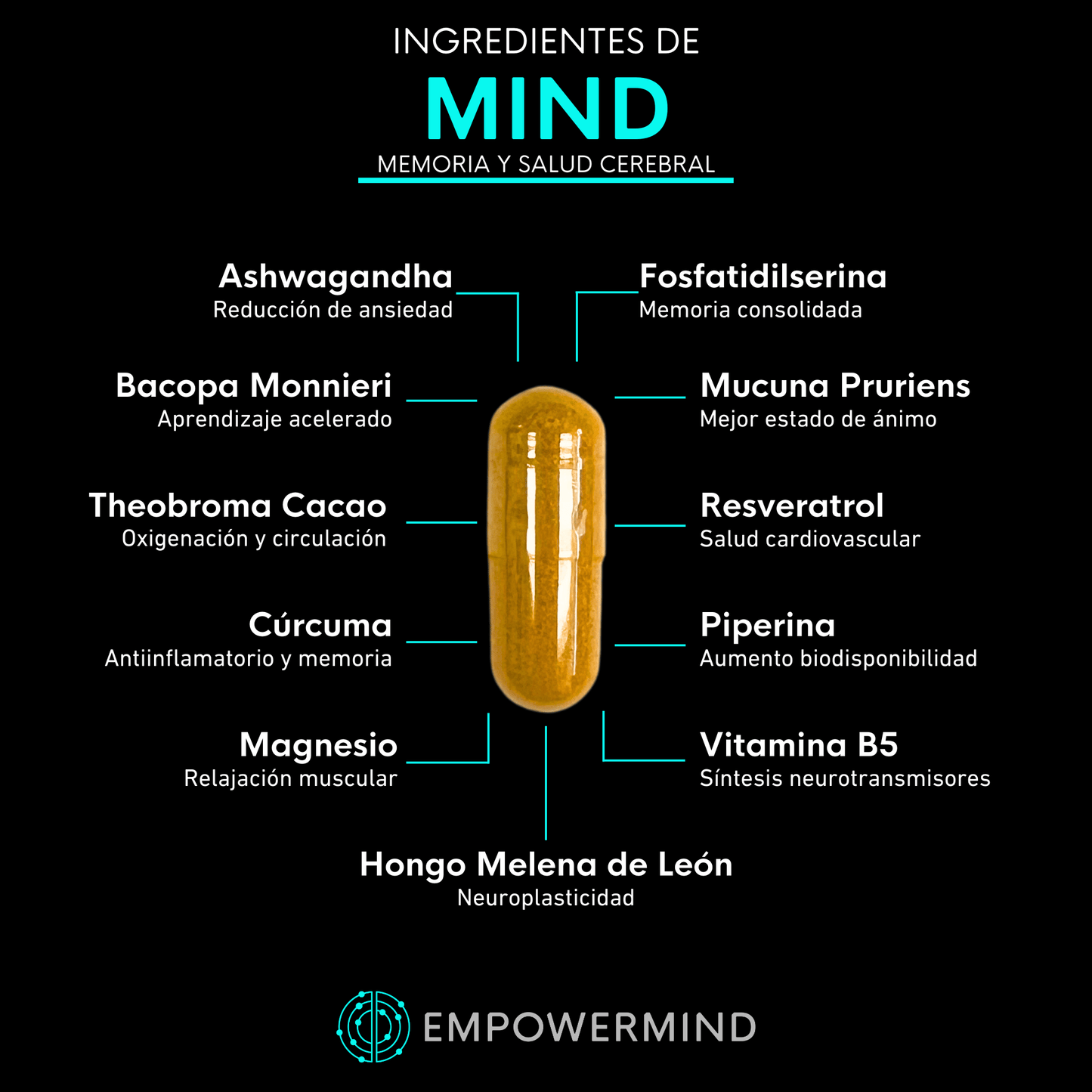 Sampler de Nootrópicos - Empowermind Nootrópicos strips zenergy nootropicos premium vitaminas para el cerebro