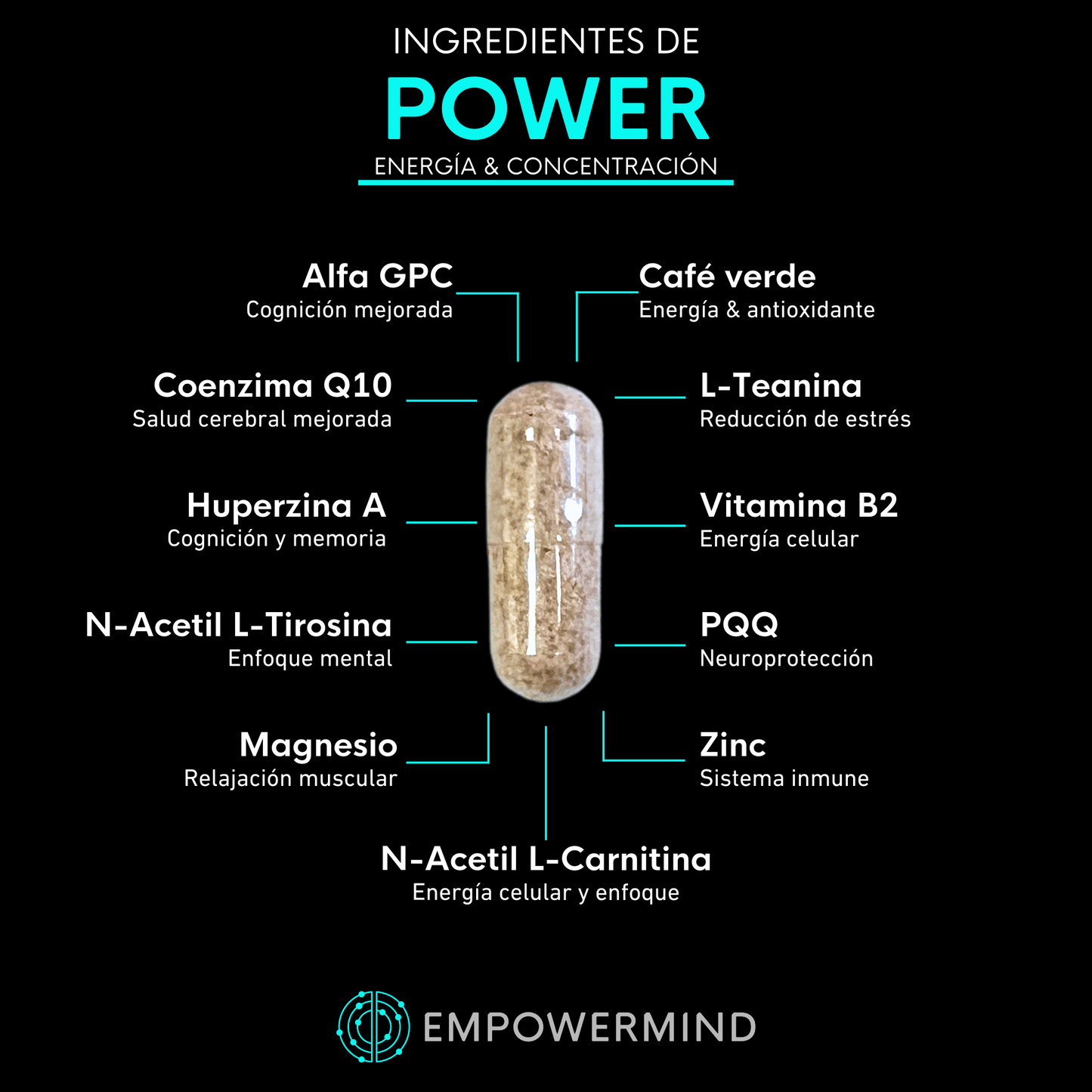 Sampler de Nootrópicos - Empowermind Nootrópicos strips zenergy nootropicos premium vitaminas para el cerebro
