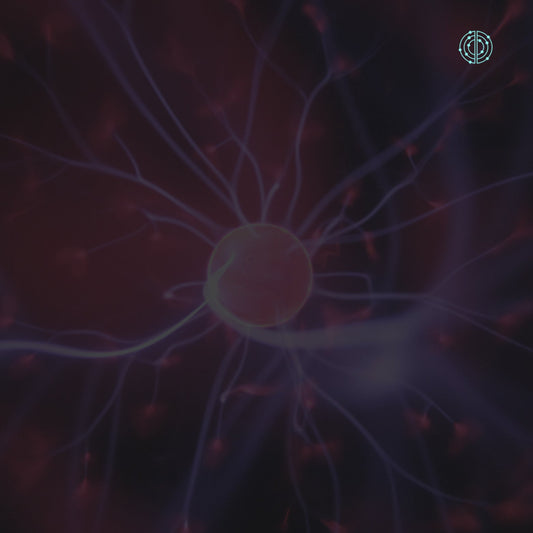 Beneficios de la Fosfatidilserina - Empowermind