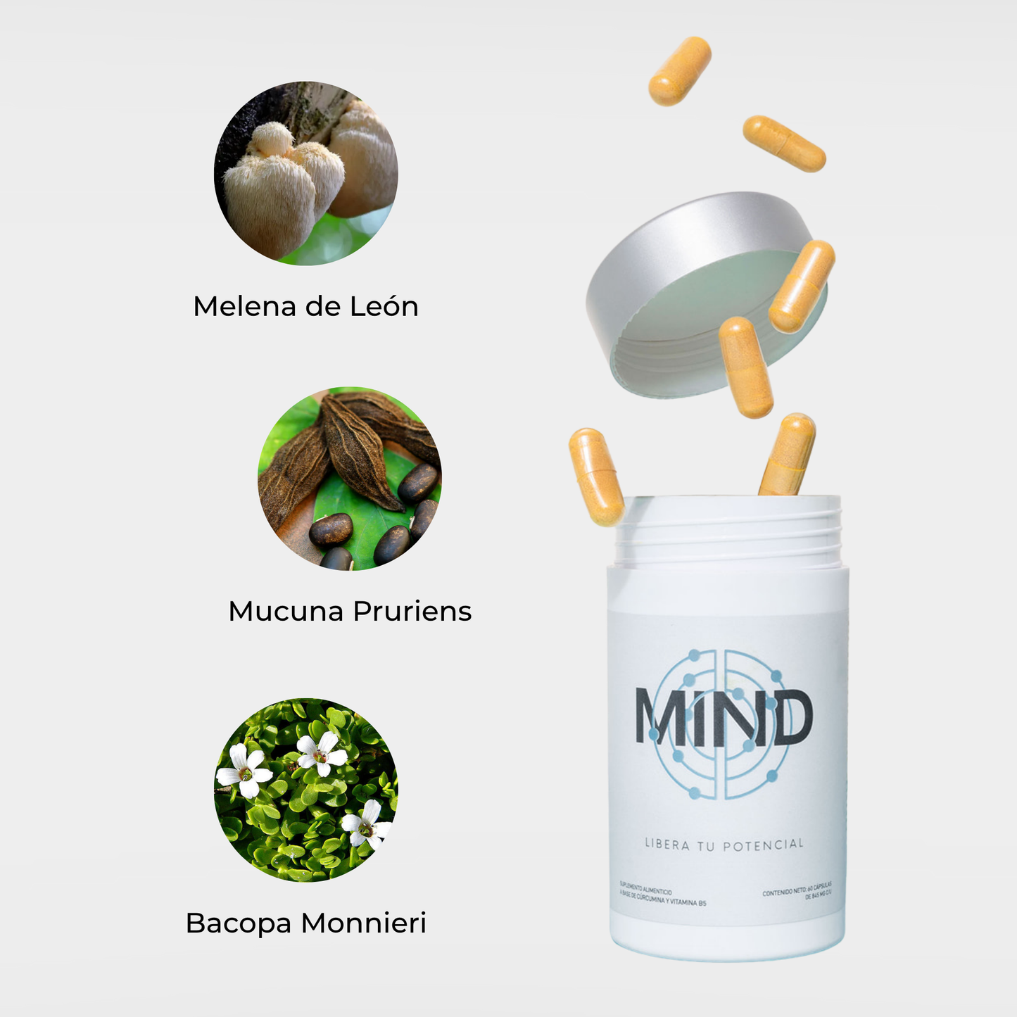 MIND