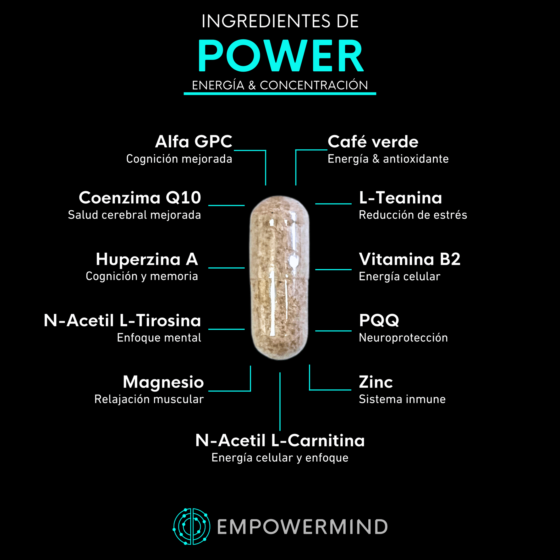 Sampler de Nootrópicos - Empowermind Nootrópicos strips zenergy nootropicos premium vitaminas para el cerebro
